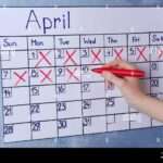 Compteur jours naissance sur lematin-dz.net : suivez le décompte facilement