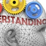 Cc inp : comprendre son fonctionnement et ses applications