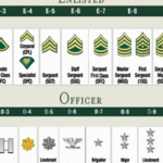 Grade réserviste armée de terre : comprendre les différents niveaux et leurs rôles