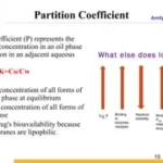 Pharmacien coefficient : comprendre son impact sur la rémunération